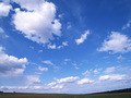 CK012_L.jpg