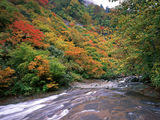 CP104_L.jpg
