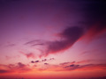 SE176_L.jpg
