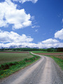 CK090_L.jpg